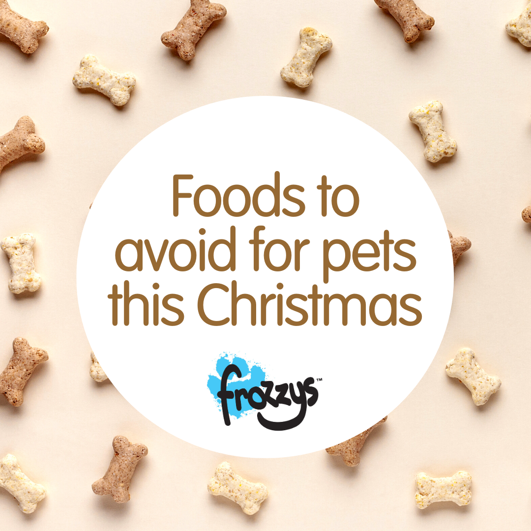 Foods Your Pet Should Avoid This Christmas