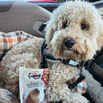 7 Benefits of Grain Free Dog Treats