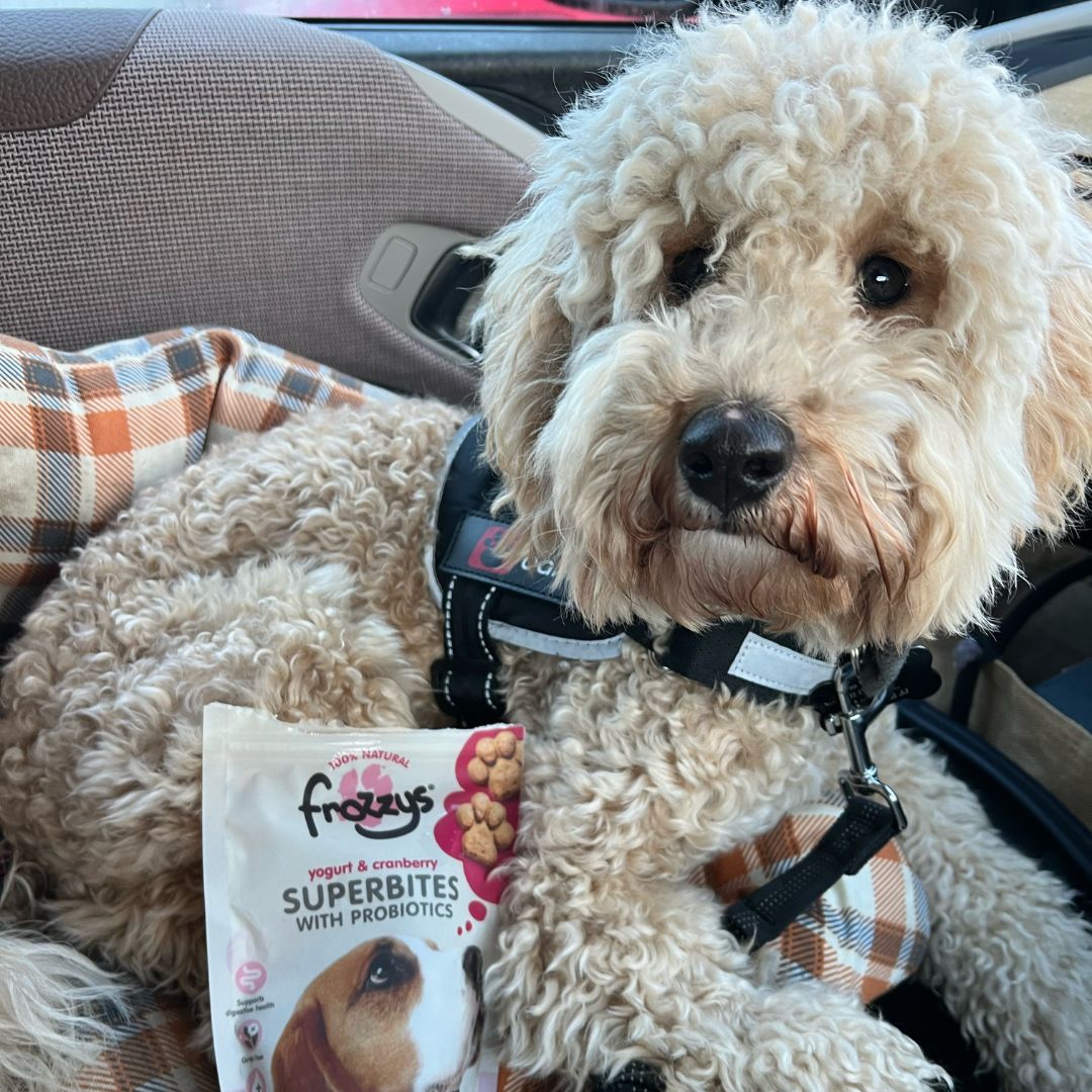7 Benefits of Grain Free Dog Treats