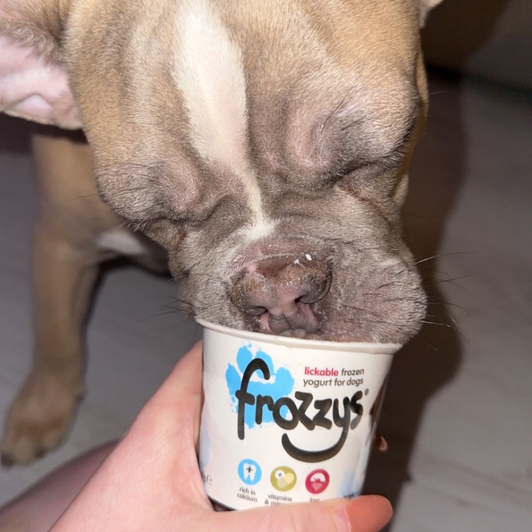 The Benefits of Calcium For Dogs