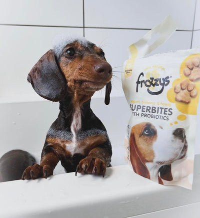 How to keep your dog’s skin and fur healthy
