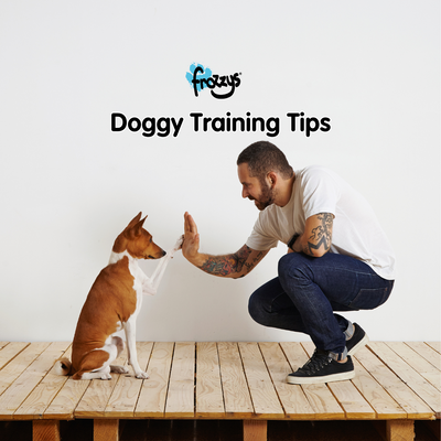 Dog Training Tips: A Guide for Every Dog Owner