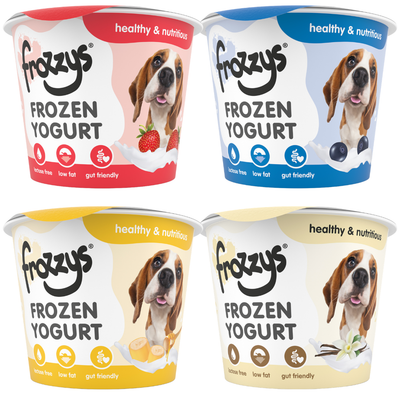 Frozzys Frozen Yoghurt