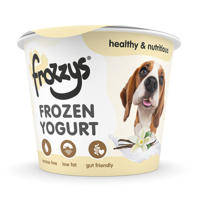 Frozzys Frozen Yogurt - Original