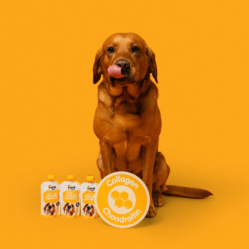 Happy Gut Yogurt Squeeze Chicken Starter Bundle