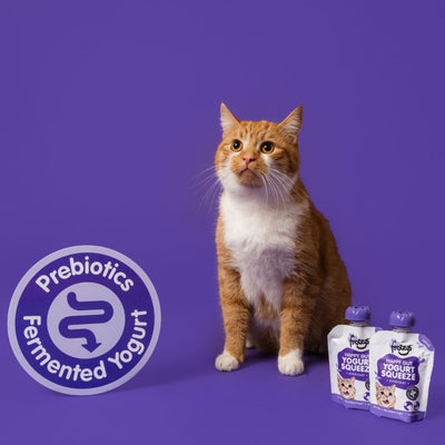 Happy Gut Yogurt Squeeze - Cat