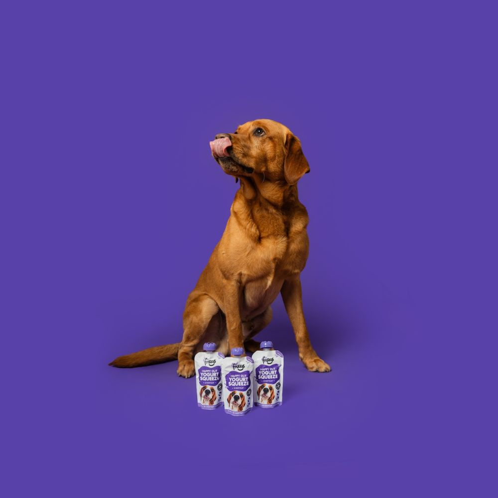 Frozzys Happy Gut Yogurt Squeeze - Dog