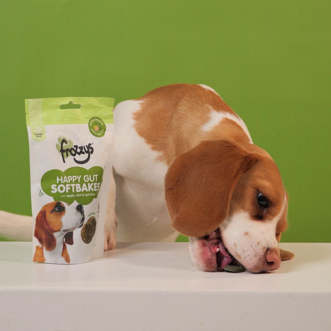 Frozzys Happy Gut Softbakes - Apple, Mint & Spirulina