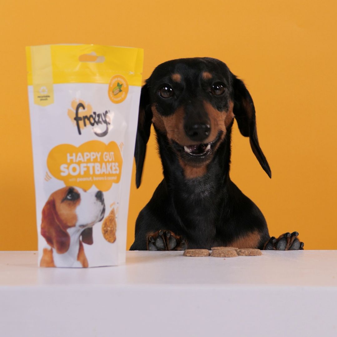 Frozzys Happy Gut Softbakes - Peanut, Banana & Coconut