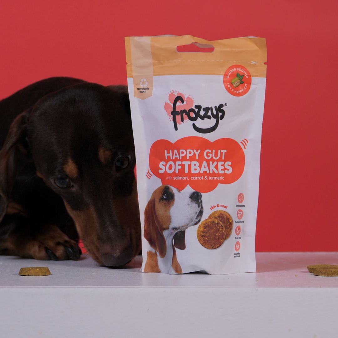 Frozzys Happy Gut Softbakes - Salmon, Carrot & Tumeric