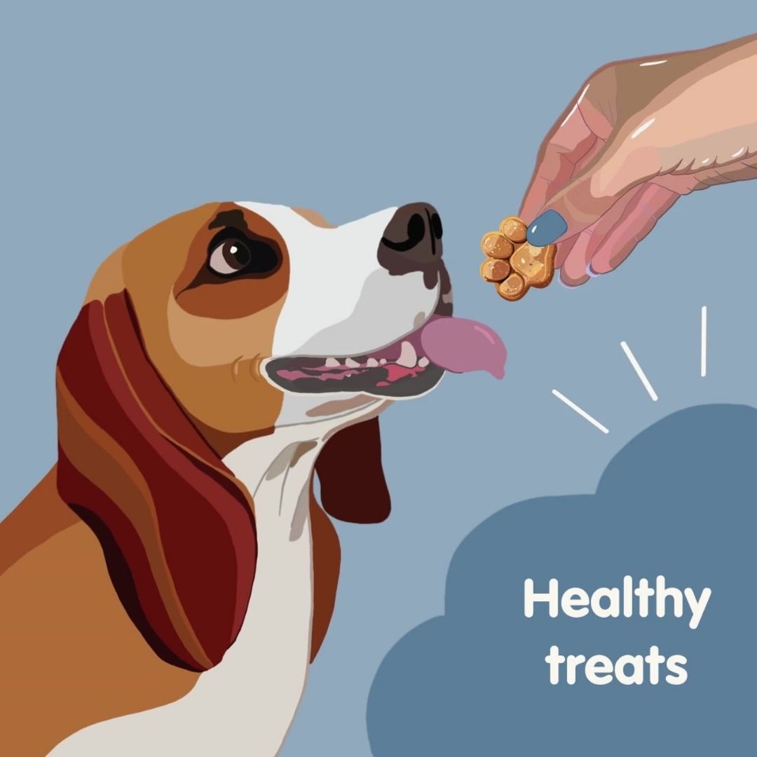 Healthy Treats For Dogs