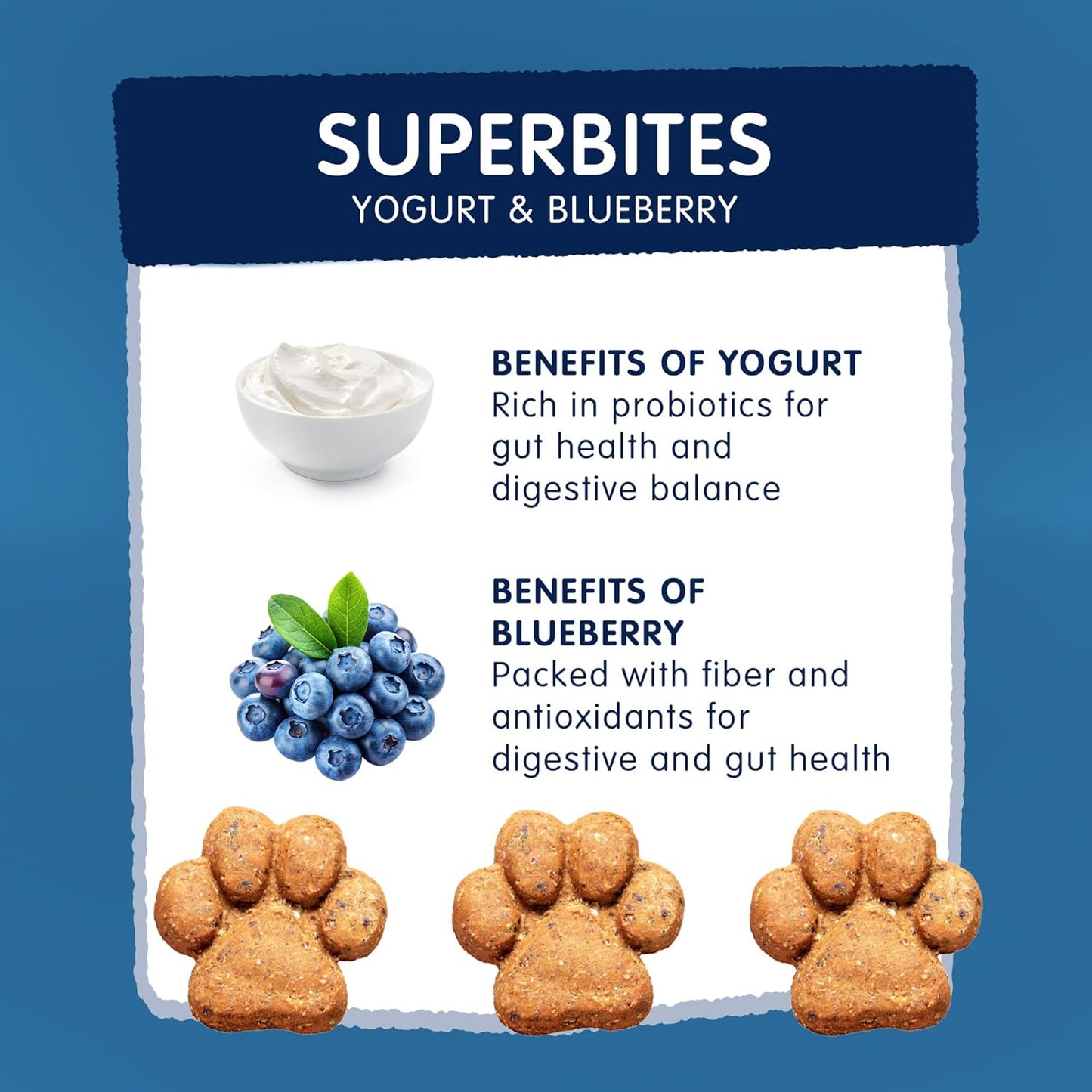 Frozzys Superbites Details - Blueberry