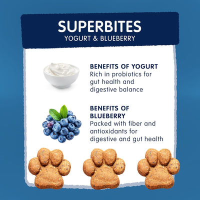 Frozzys Superbites Details - Blueberry