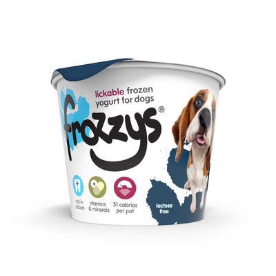 Frozzys Frozen Yohurt - Blueberry