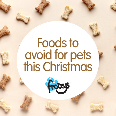 Foods Your Pet Should Avoid This Christmas