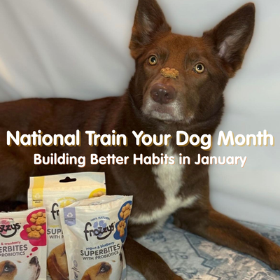 National Train Your Dog Month: Building Better Habits in January