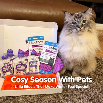 Cosy Season With Pets: Little Rituals That Make Winter Feel Special