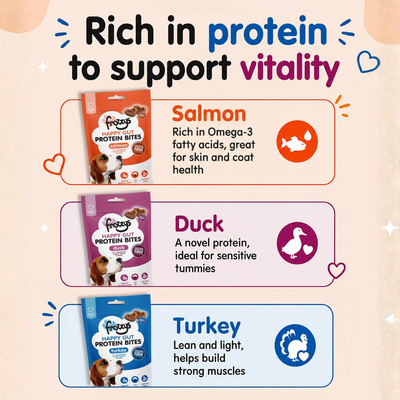 The Benefits of Protein for Dogs — And Why It Matters in Their Treats