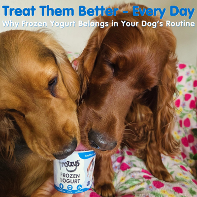 Treat Them Better - Every Day: Why Frozen Yogurt Belongs in Your Dog’s Routine