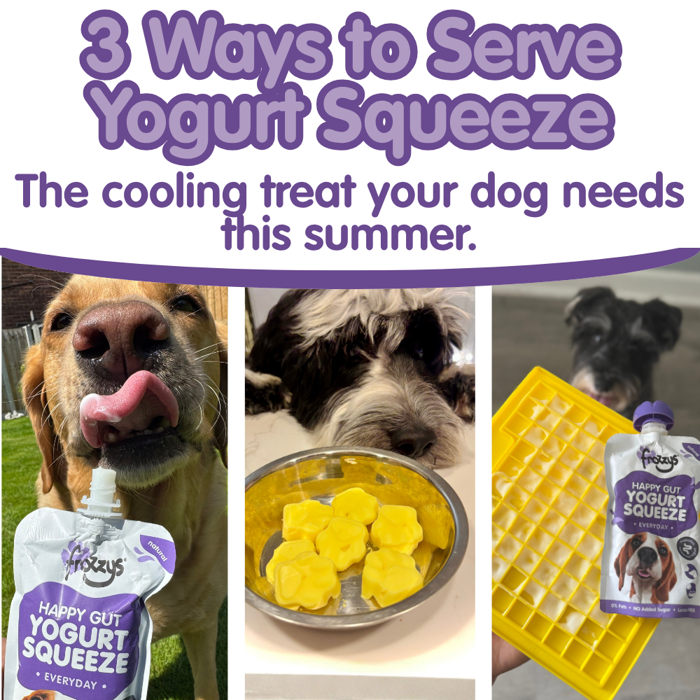 How to Use Yogurt Squeeze as a Cooling Treat for Dogs