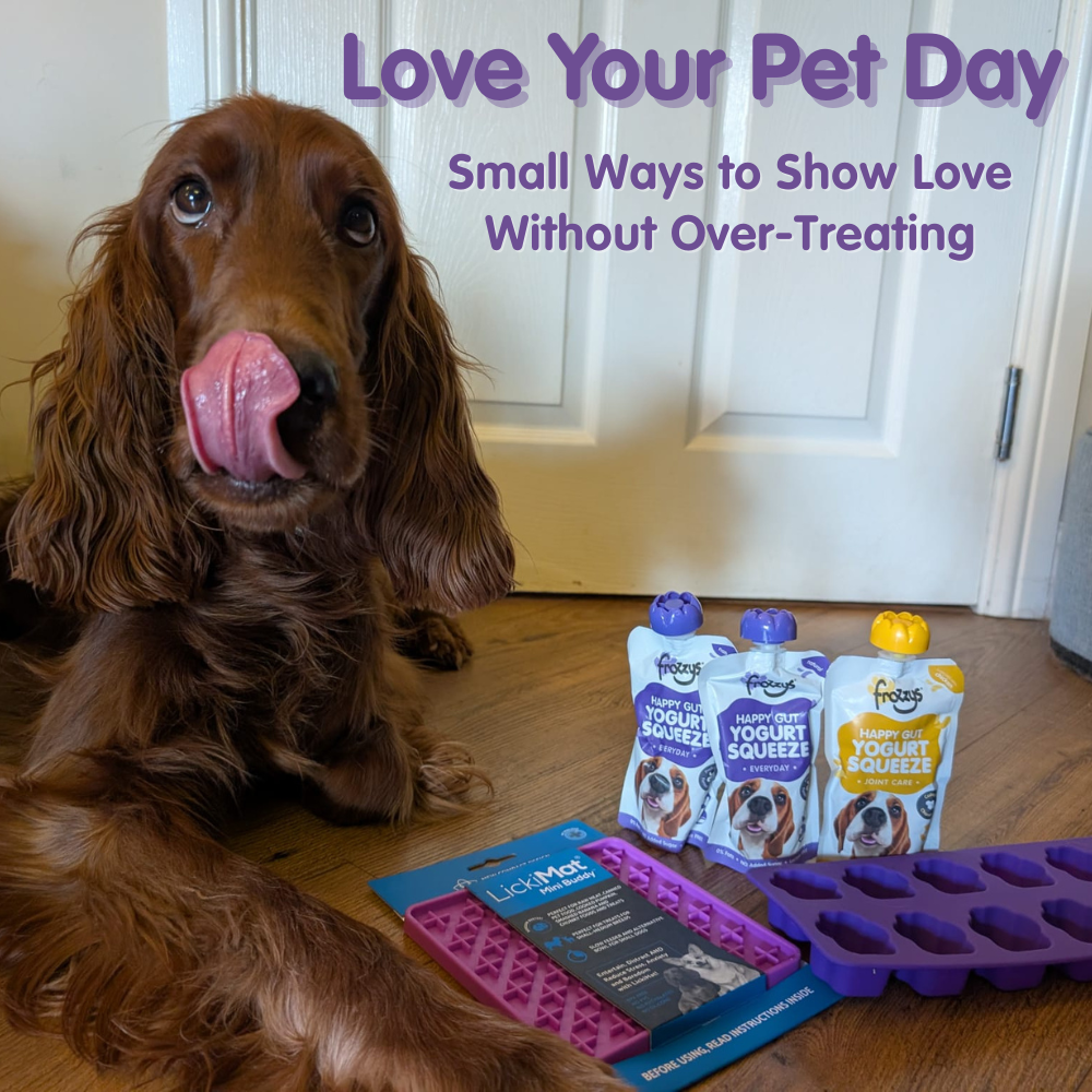Love Your Pet Day: Small Ways to Show Love Without Over-Treating