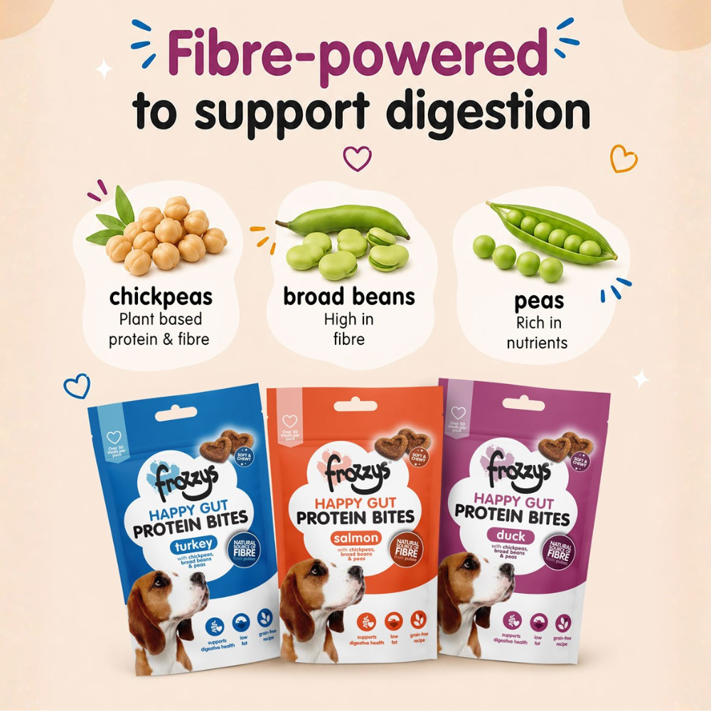 Fibre for Dogs — Why It Matters and How Treats Can Help