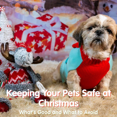 Keeping Your Pets Safe at Christmas: What’s Good and What to Avoid
