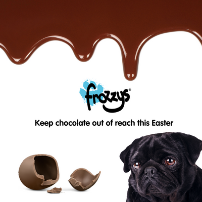 Keeping Easter Chocolate Away from Dogs: A Guide for Pet Owners