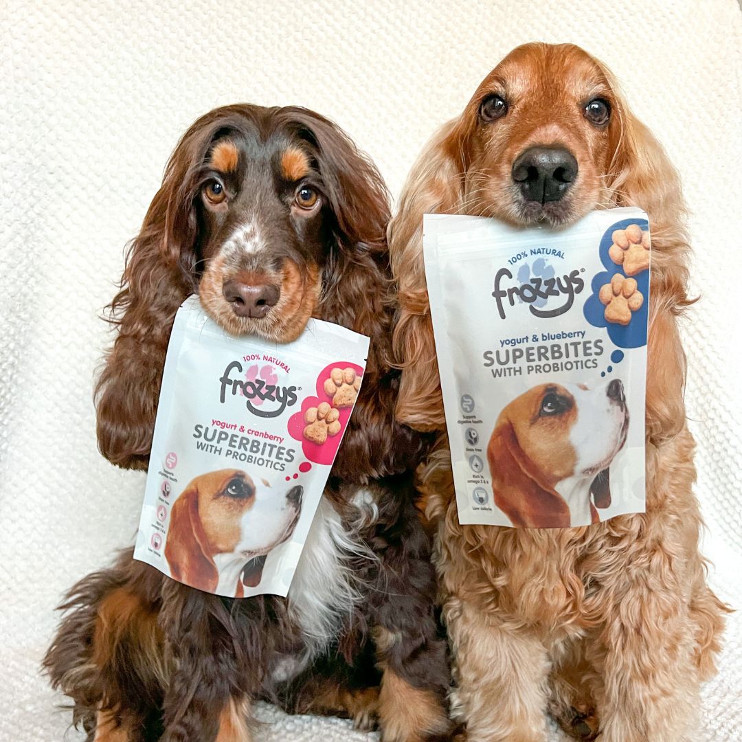 World Heath Day - Here's How Frozzys Treats Benefit The Health & Wellbeing Of Your Dog