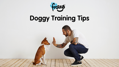 Dog Training Tips: A Guide for Every Dog Owner