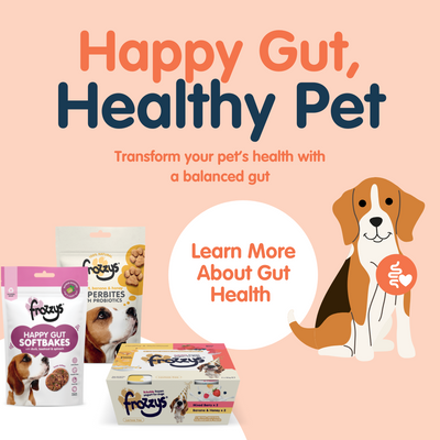 Transform Your Pet’s Health with a Happy Gut