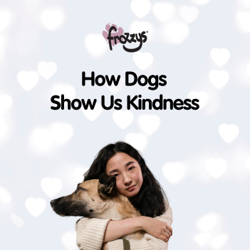 How Dogs Show Kindness: Lessons from Our Furry Friends
