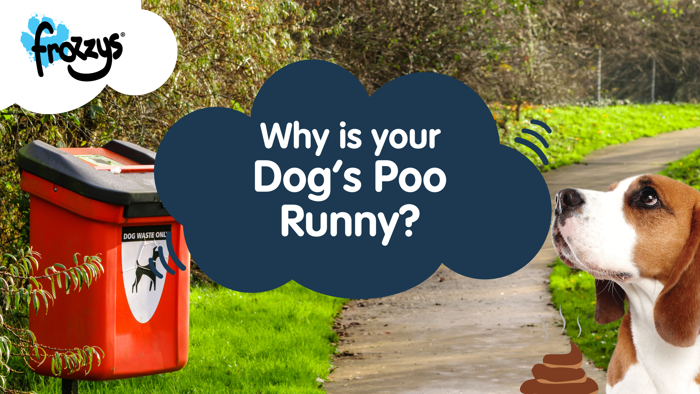 Why is My Dog's Poo Runny? Possible Causes & Symptoms