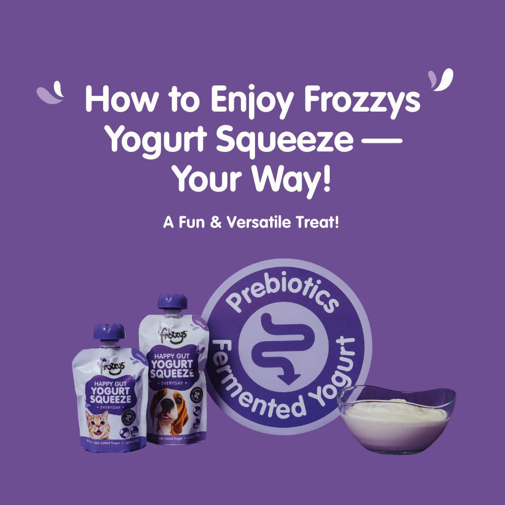 How to Enjoy Frozzys Yogurt Squeeze — Your Way!