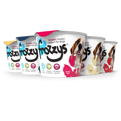 Frozzys Frozen Yoghurt