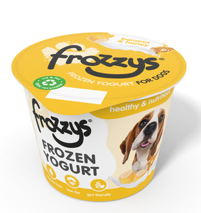 Frozzys Frozen Yogurt - Banana & Honey