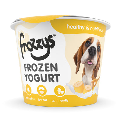Frozzys Frozen Yogurt - Banana & Honey