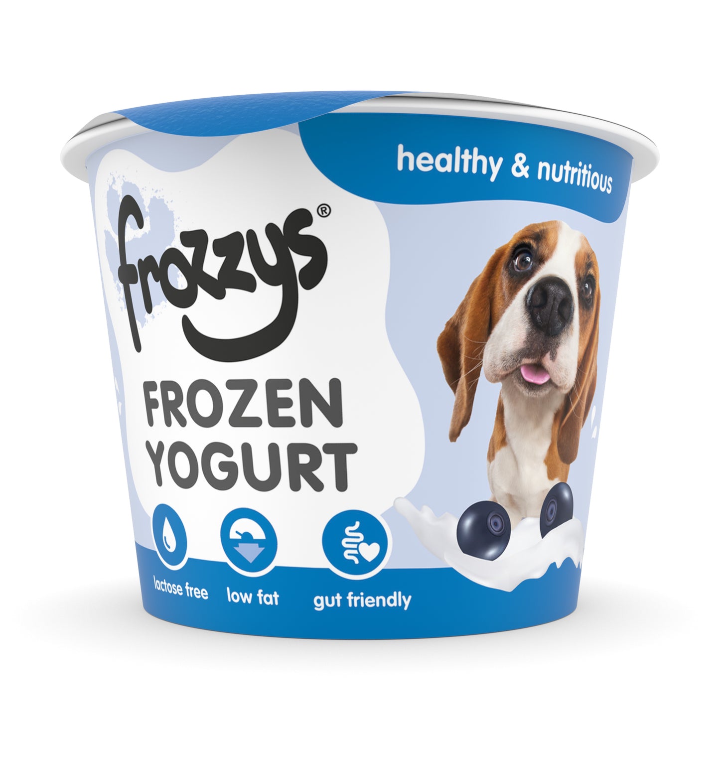 Frozzys Frozen Yogurt - Blueberry
