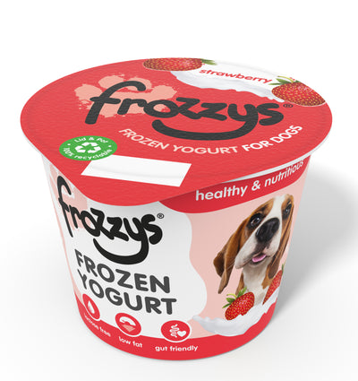 Frozzys Frozen Yogurt - Strawberry