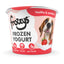 Frozzys Frozen Yogurt - Strawberry