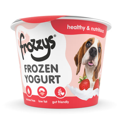 Frozzys Frozen Yogurt - Strawberry