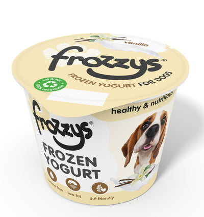 Frozzys Frozen Yogurt - Original