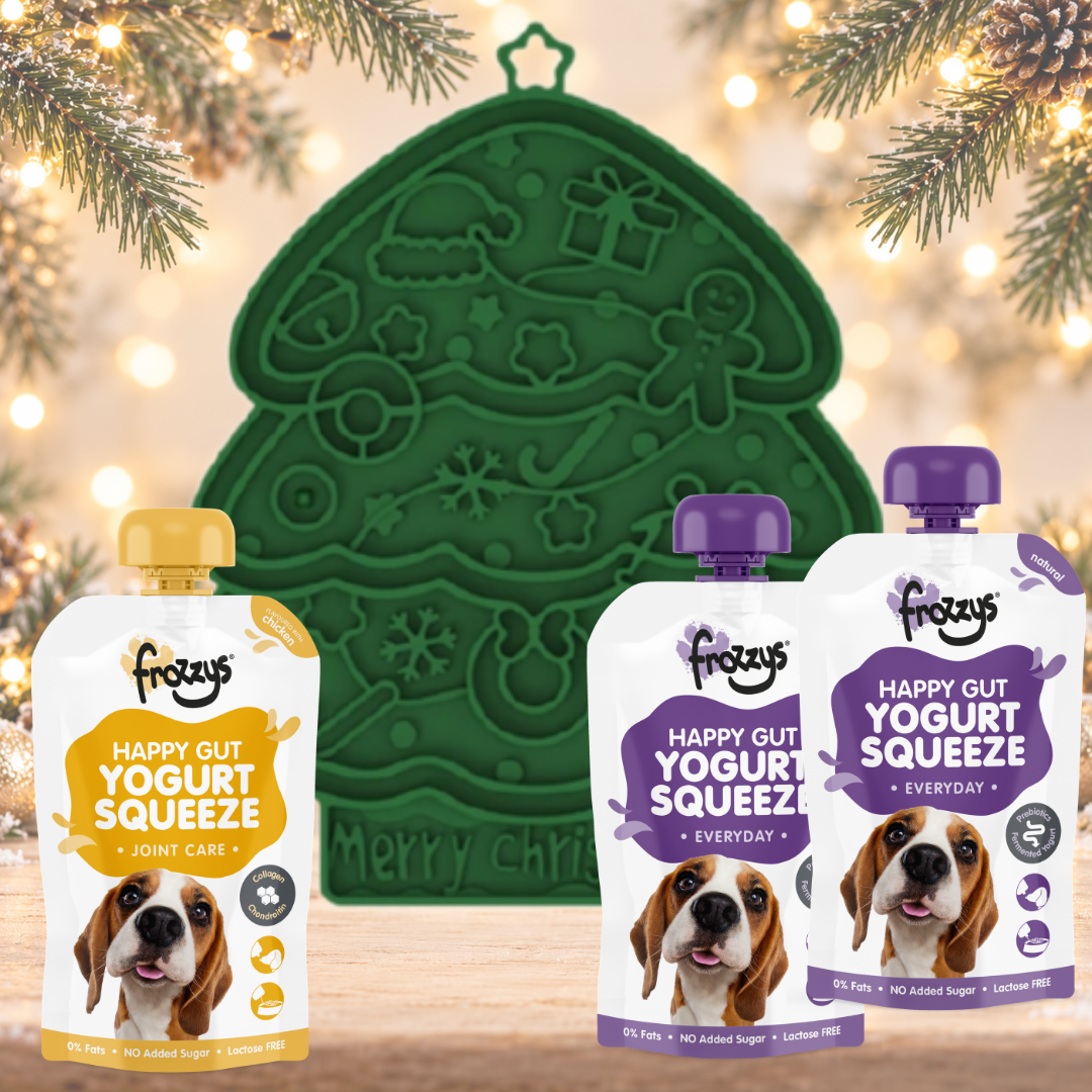 Limited Edition Christmas Bundle
