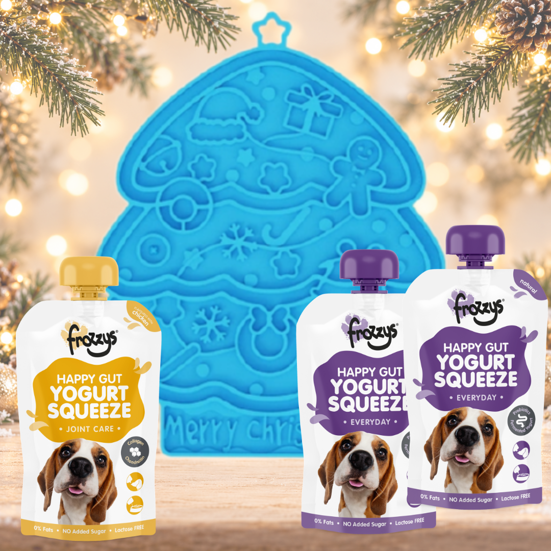 Limited Edition Christmas Bundle