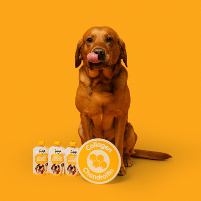 Frozzys Happy Gut Yogurt Squeeze - Chicken