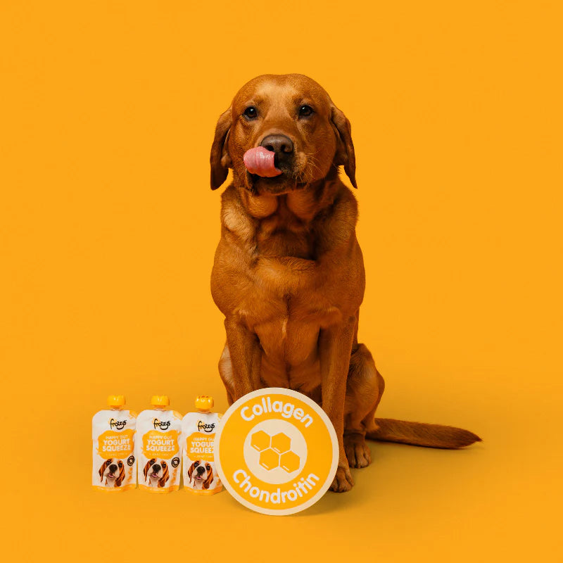 The Ultimate Taster Bundle