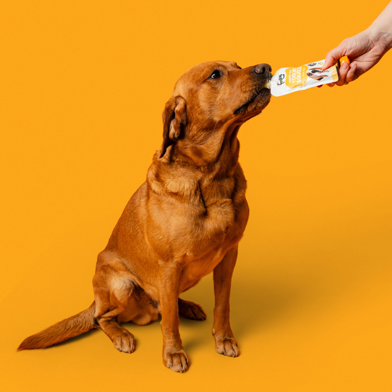 Frozzys Happy Gut Yogurt Squeeze - Chicken