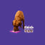 Frozzys Happy Gut Yogurt Squeeze - Dog