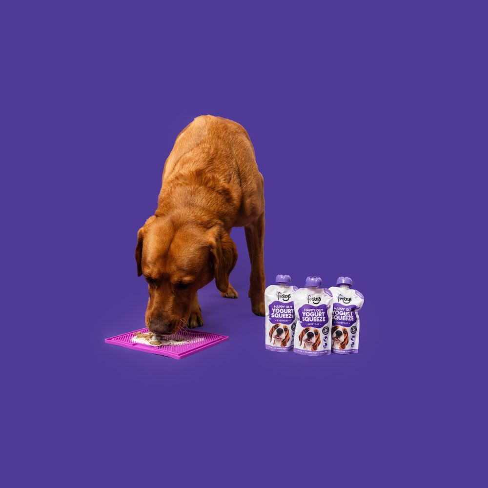Frozzys Happy Gut Yogurt Squeeze - Dog