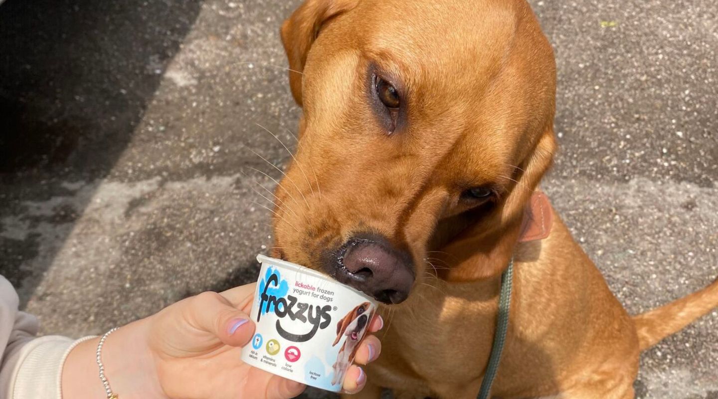 Frozzys frozen yogurt shop pets at home